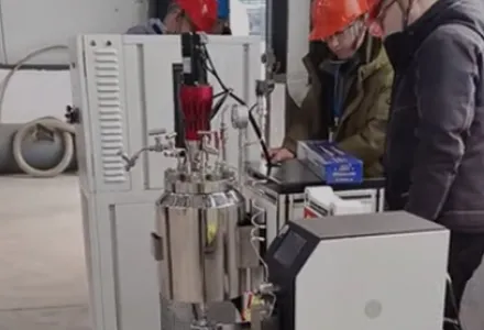 Пилотный реактор